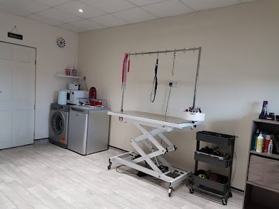 Grooming Van Image