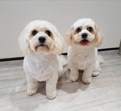 Grooming Van Image