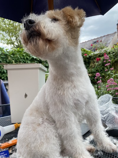 Grooming Van Image