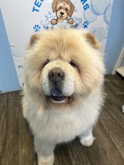Grooming Van Image