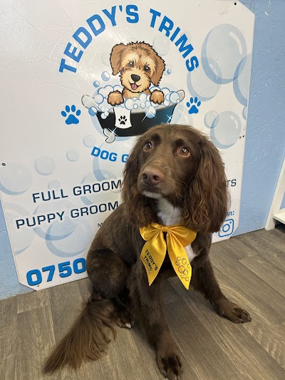 Grooming Van Image