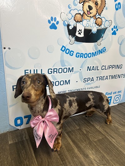 Grooming Van Image