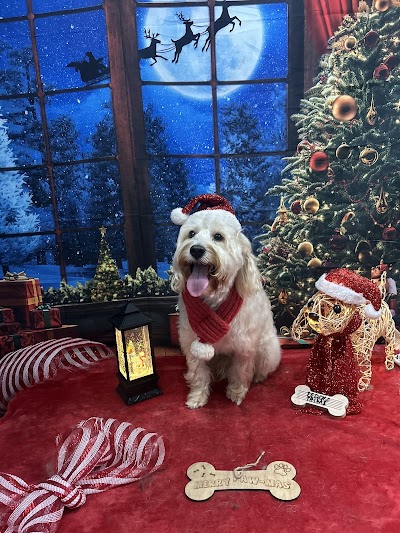 Grooming Van Image
