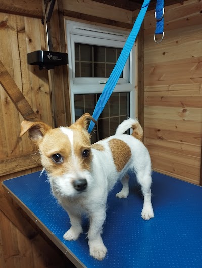 Grooming Van Image