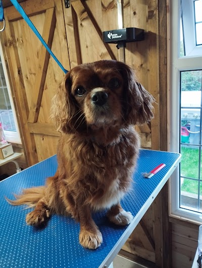 Grooming Van Image