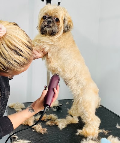 Grooming Van Image