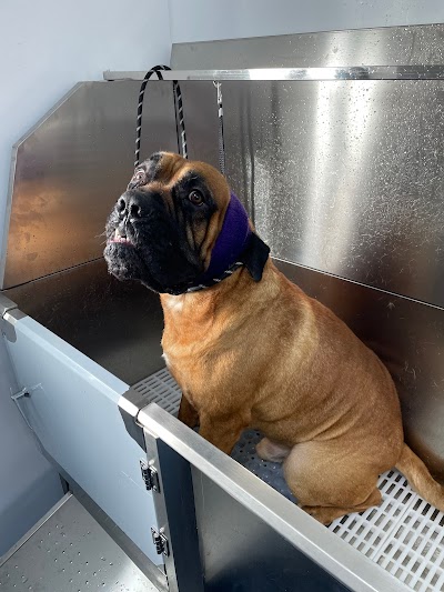 Grooming Van Image