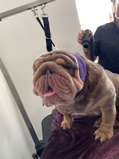 Grooming Van Image