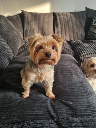 Grooming Van Image