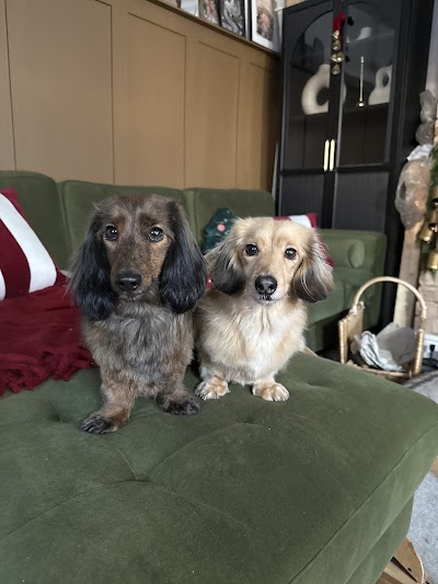 Grooming Van Image