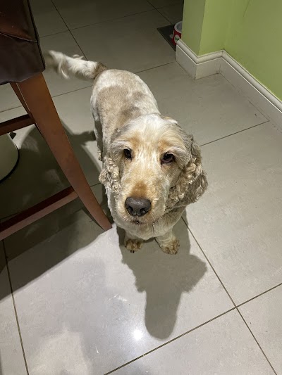 Grooming Van Image