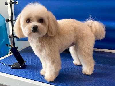 Grooming Van Image