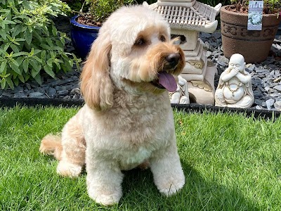 Grooming Van Image
