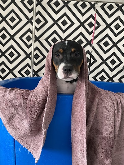 Grooming Van Image