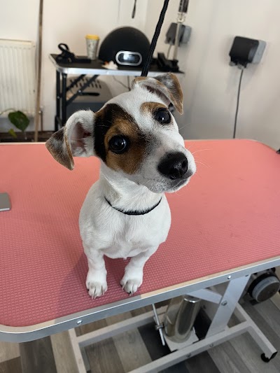 Grooming Van Image
