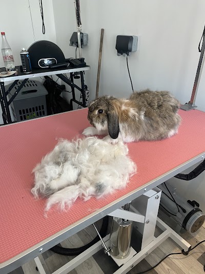 Grooming Van Image