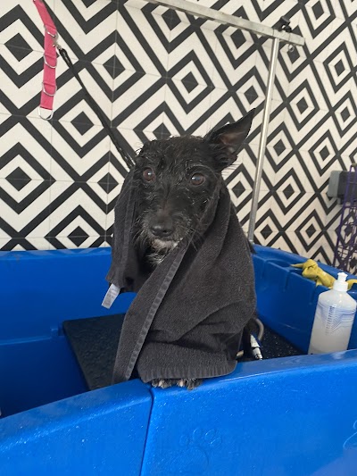 Grooming Van Image