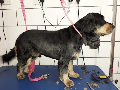 Grooming Van Image