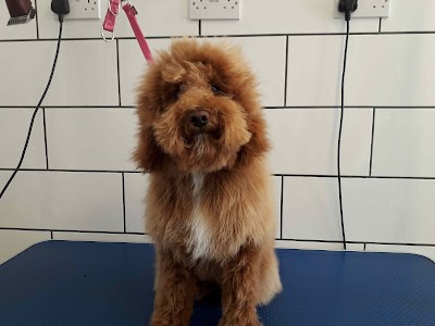 Grooming Van Image