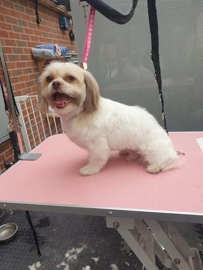 Grooming Van Image