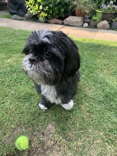 Grooming Van Image