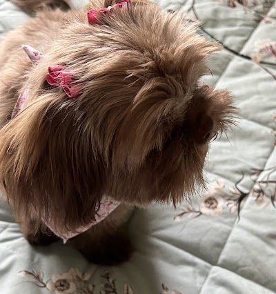 Grooming Van Image