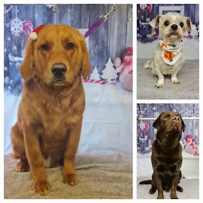 Grooming Van Image