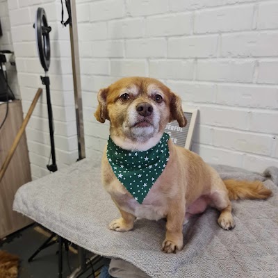 Grooming Van Image