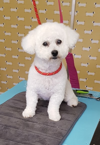 Grooming Van Image