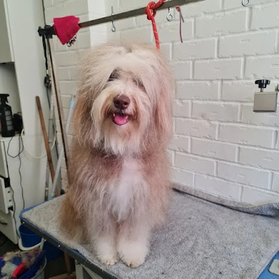 Grooming Van Image