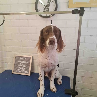 Grooming Van Image