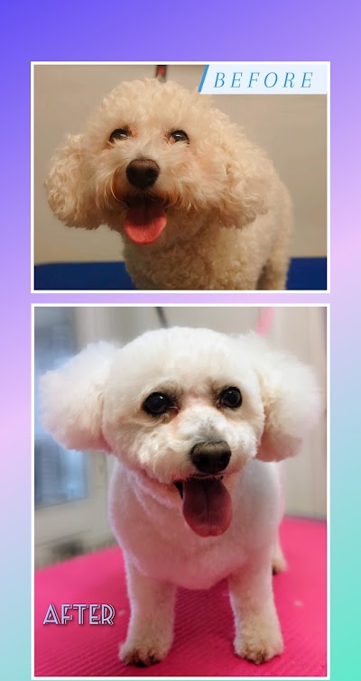 Grooming Van Image