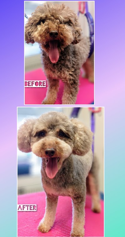 Grooming Van Image