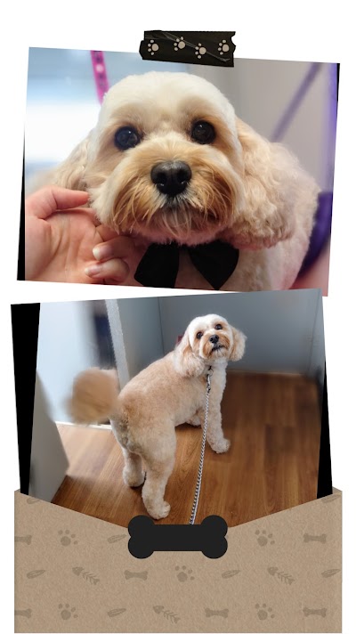 Grooming Van Image