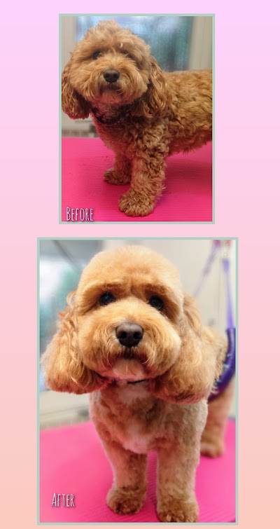 Grooming Van Image