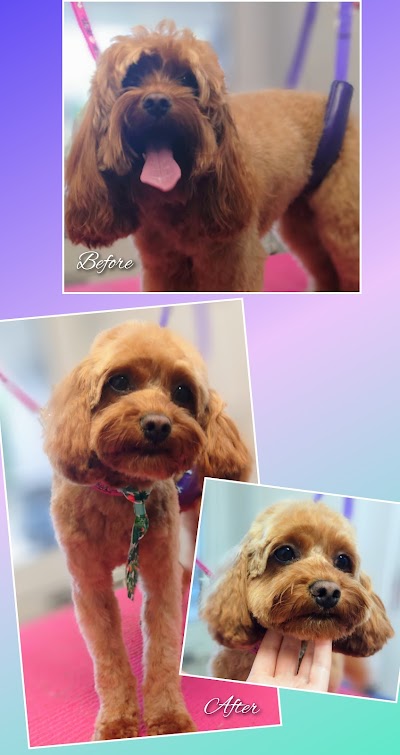 Grooming Van Image