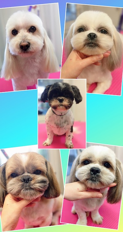 Grooming Van Image