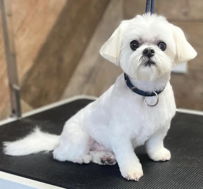 Grooming Van Image