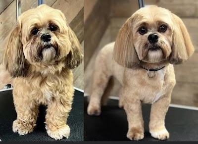 Grooming Van Image
