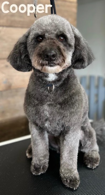Grooming Van Image