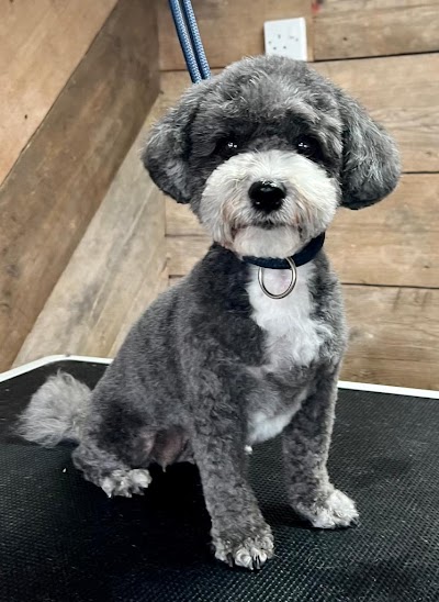 Grooming Van Image