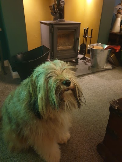 Grooming Van Image