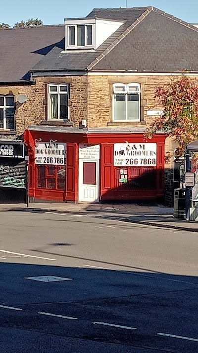 A & M Dog Grooming