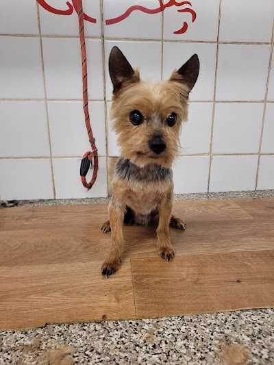 Grooming Van Image
