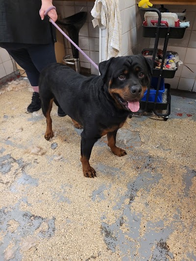 Grooming Van Image