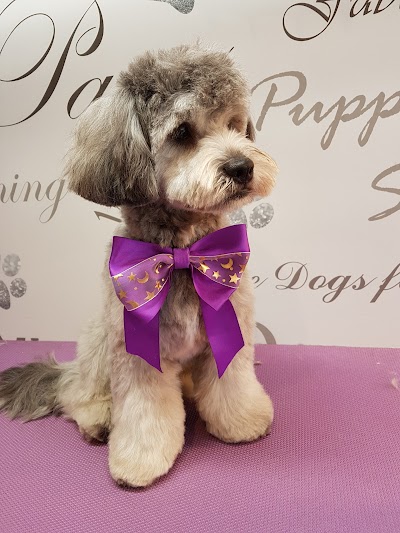 Grooming Van Image