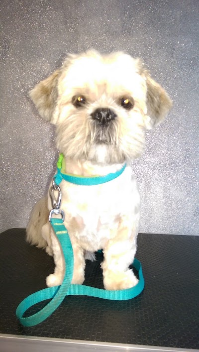Grooming Van Image