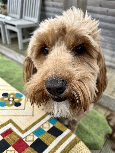 Grooming Van Image