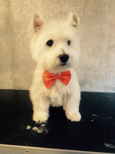 Grooming Van Image