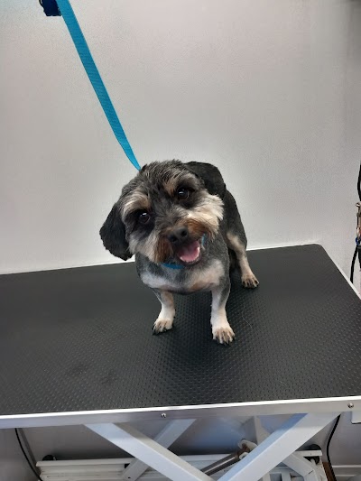 Grooming Van Image
